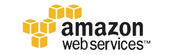 Lead Liaison Partner Amazon