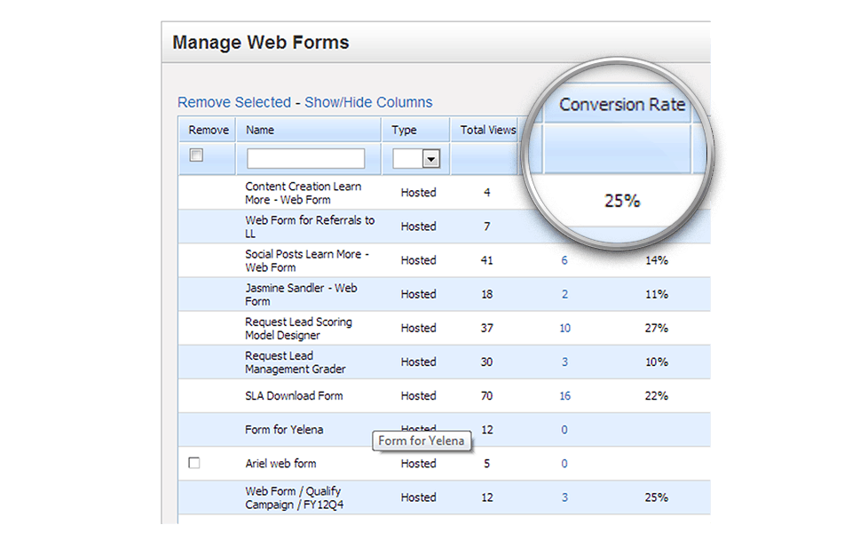 Web Form Conversions