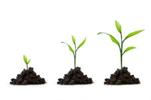 Lead Nurturing Best Practices and Stages