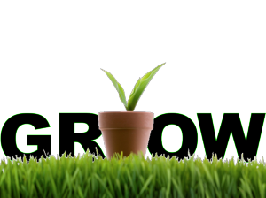 Grow your business using lead nurturing