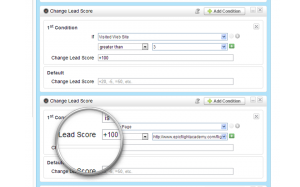 Custom Lead Scoring