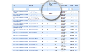 Landing Page Conversions