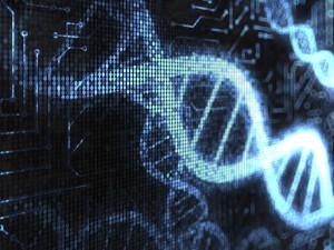 Building a Digital DNA