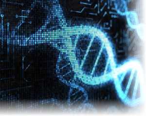 Build a Digital DNA